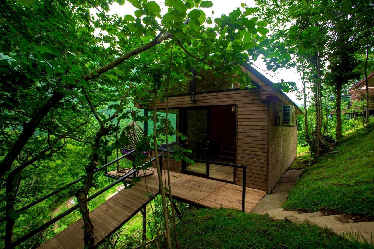 Woodpecker Ვუდფექერი Vila Batumi Exterior foto
