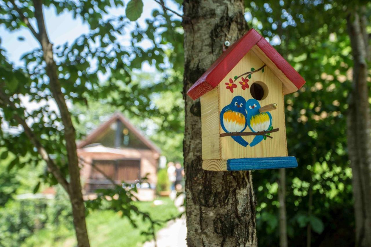 Woodpecker Ვუდფექერი Vila Batumi Exterior foto