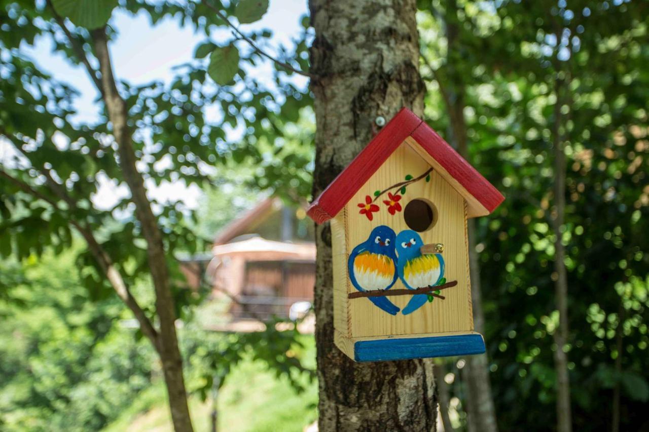Woodpecker Ვუდფექერი Vila Batumi Exterior foto